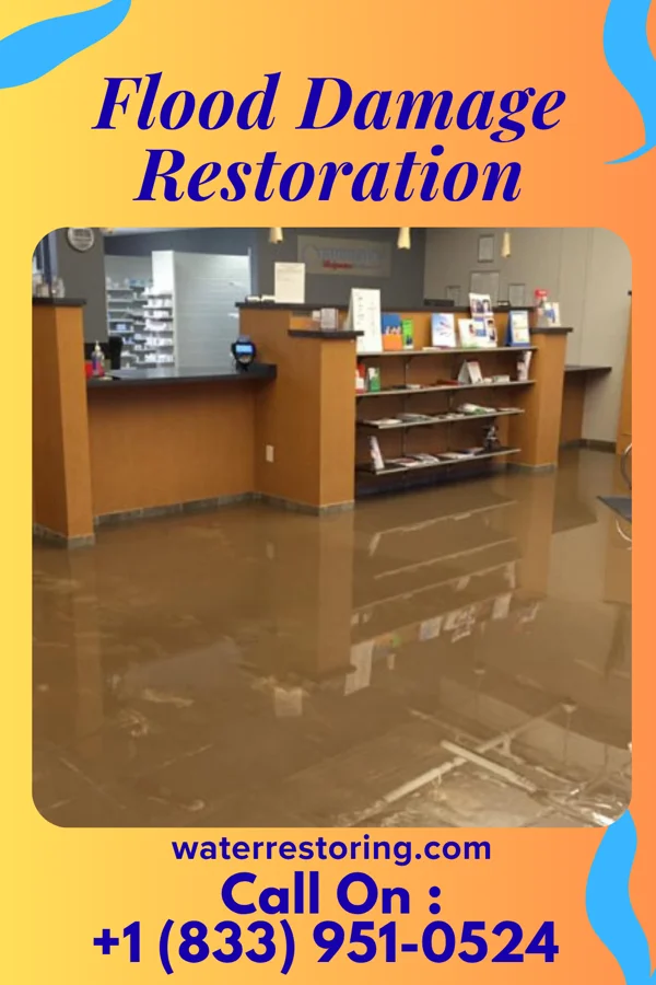 Flood Damage Restoration in New Canton, IL