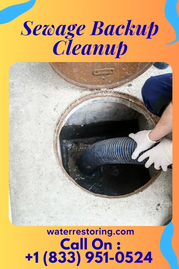 Sewage Backup Cleanup in New Canton, IL